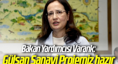 Bakan Yardımcısı Varank: Gülsan Sanayi Projemiz hazır