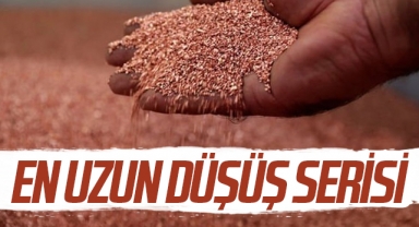 Bakırda 14 yılın en uzun düşüş serisi