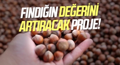 Fındığın Değerini Artıracak Proje
