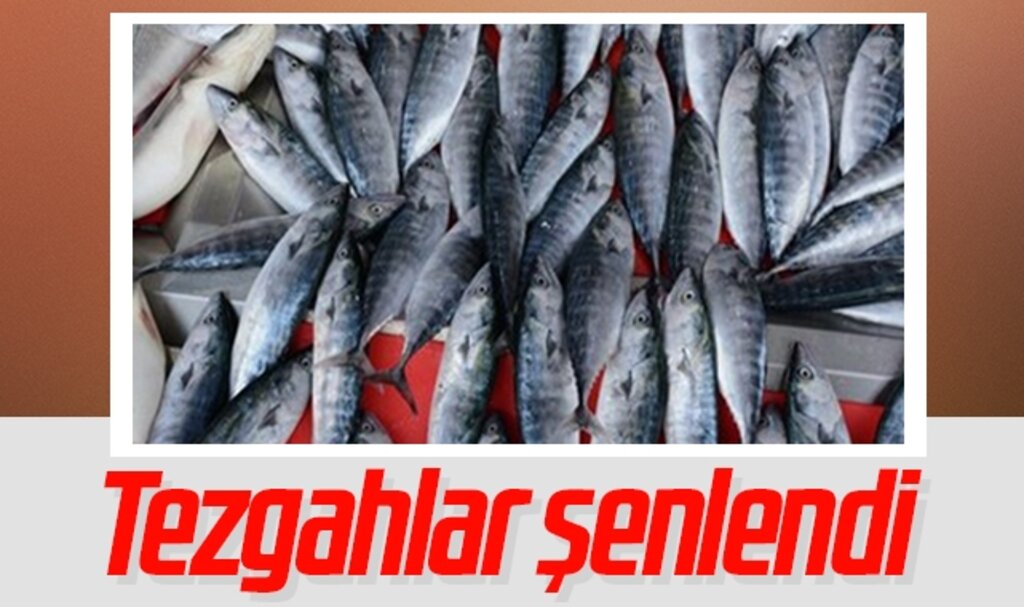 Karadeniz’de tezgahlar şenlendi