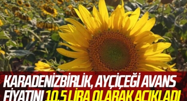 KARADENİZBİRLİK, ayçiçeği avans fiyatını 10,5 lira olarak açıkladı