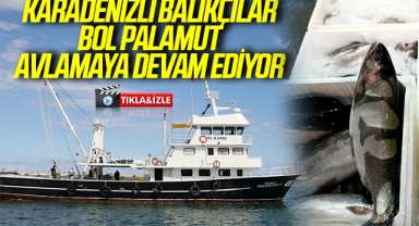 Karadenizli balıkçılar bol palamut avlamaya devam ediyor