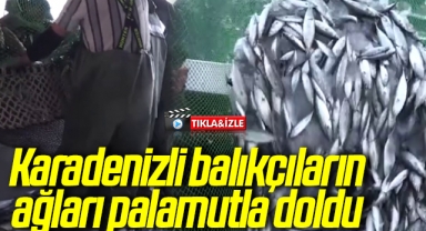 Karadenizli balıkçıların ağları palamutla doldu