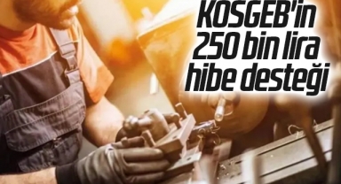 KOSGEB'in 250 bin lira hibe desteğine başvurular bugün başlıyor
