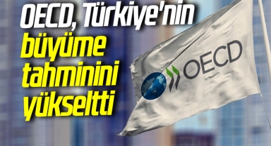 OECD, Türkiye'nin büyüme tahminini yükseltti