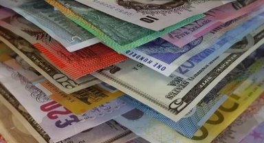 Reel efektif döviz kuru endeksi geriledi