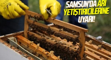 Samsun'da Arı yetiştiricilerine uyarı!