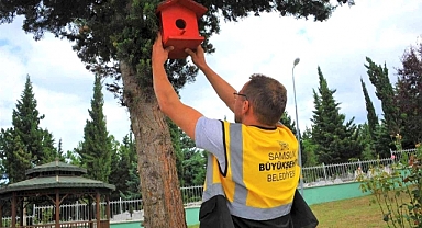Samsun'da atık ahşaplar kuş evlerine dönüştü