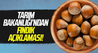 Tarım Bakanlığı’ndan Fındık açıklaması!