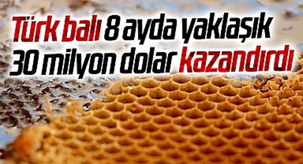Türk balı 8 ayda yaklaşık 30 milyon dolar kazandırdı