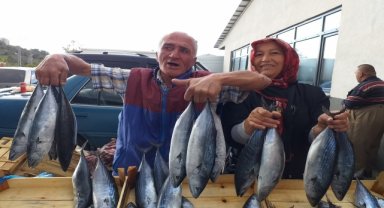 Alaplı'da palamut azlığı fiyatları yükseltti