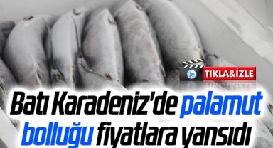 Batı Karadeniz'de palamut bolluğu devam ediyor