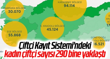 Çiftçi Kayıt Sistemi'ndeki kadın çiftçi sayısı 290 bine yaklaştı
