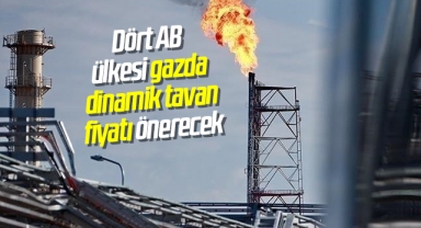 Dört AB ülkesi gazda dinamik tavan fiyatı önerecek