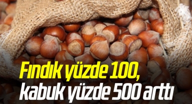 Fındık yüzde 100, kabuk yüzde 500 arttı
