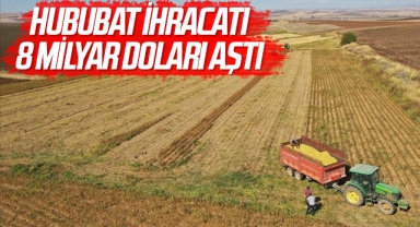Hububat ihracatı 8 milyar doları aştı