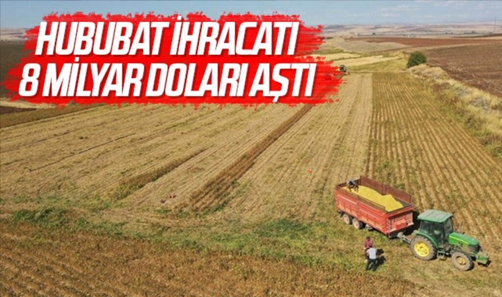 Hububat ihracatı 8 milyar doları aştı