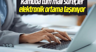 Kamuda tüm mali süreçler elektronik ortama taşınıyor