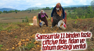 Samsun'da 3 yılda 11 binden fazla çiftçiye fide, fidan ve tohum desteği verildi