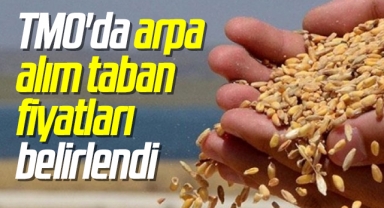 TMO'da arpa alım taban fiyatları belirlendi