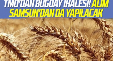 TMO'dan Samsun'da Buğday İhalesi
