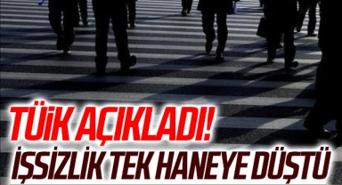 TÜİK, ağustos ayı iş gücü istatistiklerini yayınladı