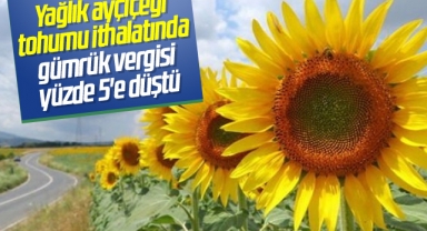 Yağlık ayçiçeği tohumu ithalatında gümrük vergisi yüzde 5'e düştü