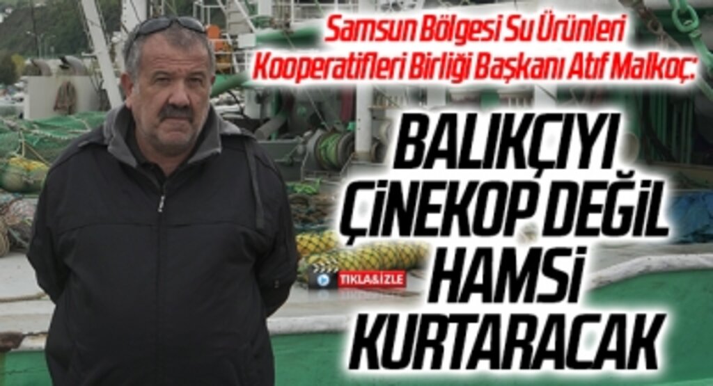 Atıf Malkoç: Balıkçıyı Çinekop Değil Hamsi Kurtaracak