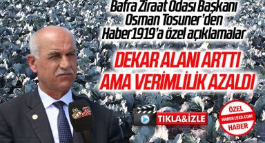 Bafra Ziraat Odası Başkanı Osman Tosuner: Dekar Alanı Arttı Ama Verimlilik Azaldı