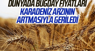 Dünyada buğday fiyatları Karadeniz arzının artmasıyla geriledi