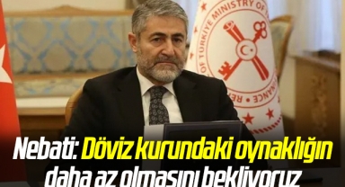 Nebati: Döviz kurundaki oynaklığın daha az olmasını bekliyoruz
