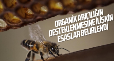 Organik arıcılığın desteklenmesine ilişkin esaslar belirlendi