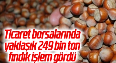 Ticaret borsalarında yaklaşık 249 bin ton fındık işlem gördü