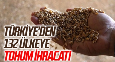 Türkiye'den 132 ülkeye tohum ihracatı