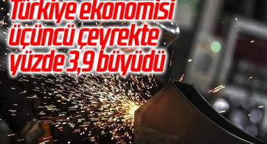 Türkiye ekonomisi üçüncü çeyrekte yüzde 3,9 büyüdü