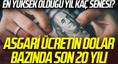 Asgari ücret dolar euro bazında 20 yılda ne kadar arttı? 2023 asgari ücreti kaç dolar ediyor