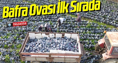 Bafra Ovası İlk Sırada
