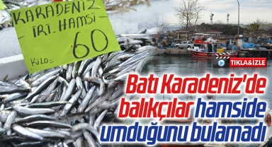 Batı Karadeniz'de balıkçılar hamside umduğunu bulamadı