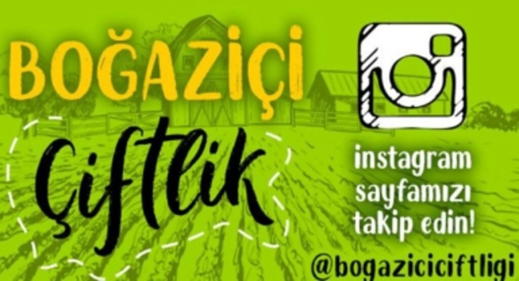 Köy Tavuğu ve Organik Besinler