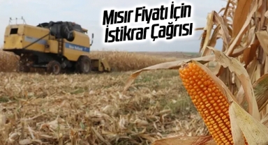 Mısır Fiyatı İçin İstikrar Çağrısı
