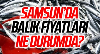 Samsun'da Balık Fiyatları! 26 Aralık 2022