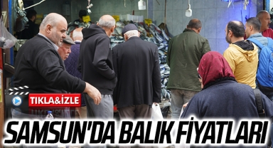Samsun'da balık fiyatları