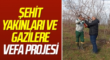 Samsun'da şehit yakını ile gazilerin fındık bahçelerinin bakımı ücretsiz yapılacak