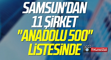 Samsun'dan 11 Şirket