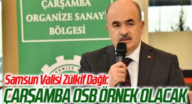 Samsun Valisi Zülkif Dağlı: