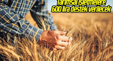 Tarımsal işletmelere 600 lira destek verilecek