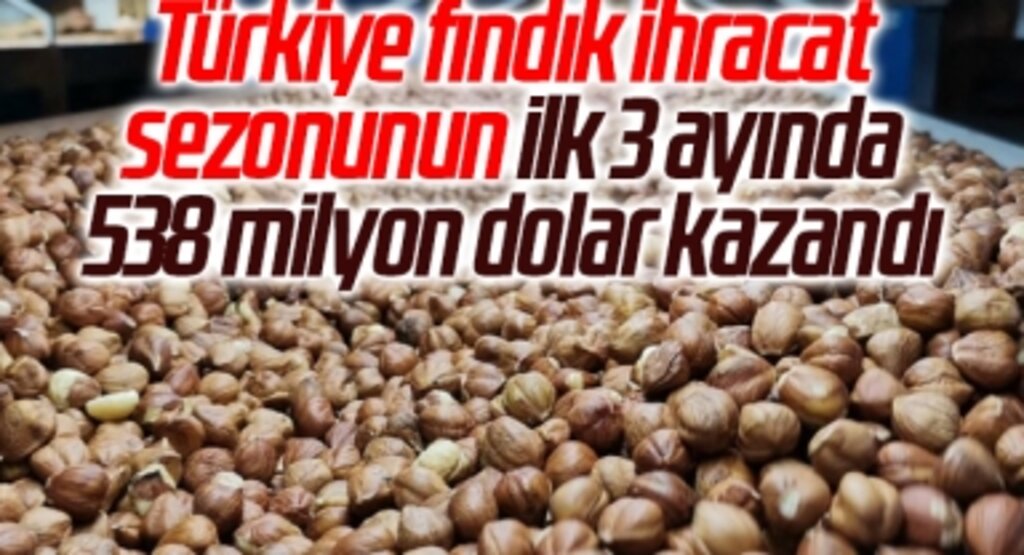 Türkiye fındık ihracat sezonunun ilk 3 ayında 538 milyon dolar kazandı