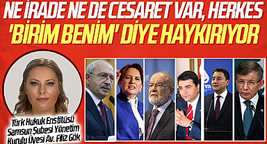 Av. Filiz Gök: Ne İrade Ne de Cesaret Var, Herkes 'Birim Benim' Diye Haykırıyor