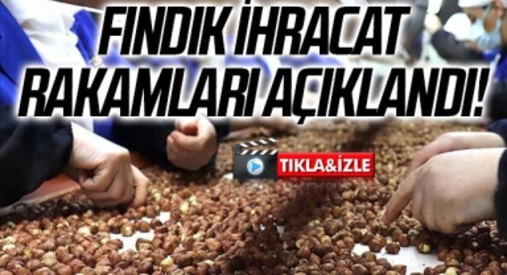 Fındık İhracat Rakamları Açıklandı!