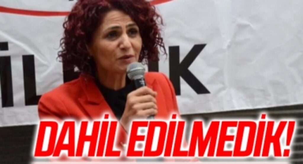 Gönül Boran Özüpak: dahil edilmedik